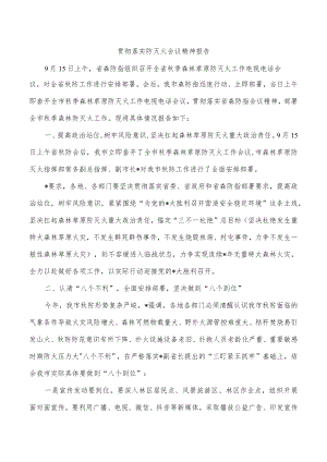 贯彻落实防灭火会议精神报告.docx