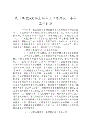 统计局2022年上半年工作总结及下半年工作计划.docx