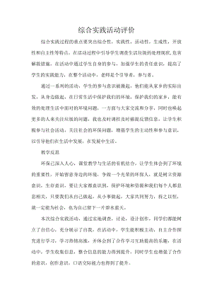 综合实践活动评价.docx