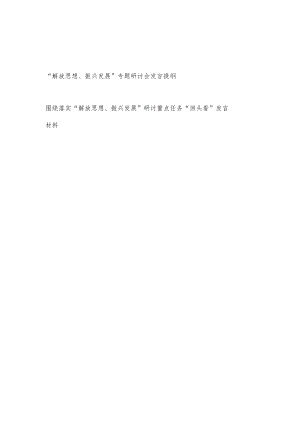 落实“解放思想、振兴发展”专题研讨会发言提纲和研讨重点任务“回头看”发言材料.docx