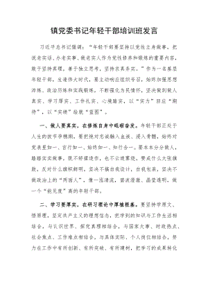 镇党委书记年轻干部培训班发言.docx