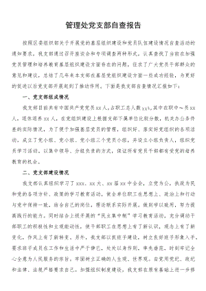 管理处党支部自查报告.docx