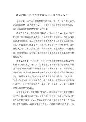 经验材料：多措并举助推年轻干部“墩苗成长”.docx