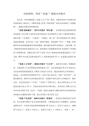 经验材料：坚持“党建+”赋能乡村振兴.docx