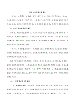 统计工作经验亮点做法.docx