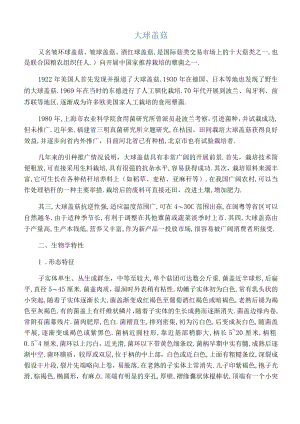 大球盖菇.docx