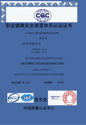 竖版蓝色花纹边框职业健康安全管理体系认证证书单页word模板.docx