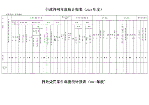 行政许可年度统计报021年度.docx