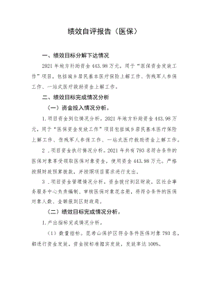 绩效自评报告医保.docx