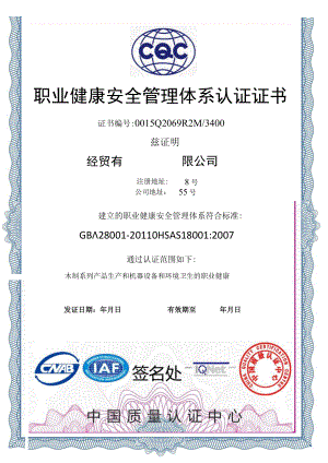 竖版蓝色边框经贸公司职业健康安全管理体系认证证书单页word模板.docx