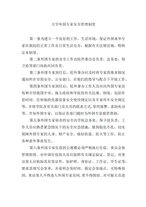 大学外国专家安全管理制度.docx