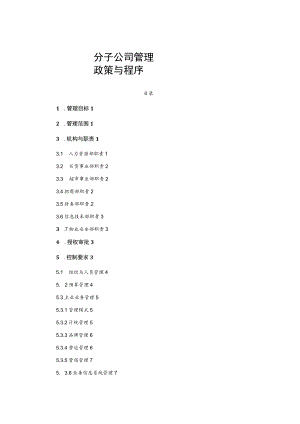 分子公司管理政策与程序.docx