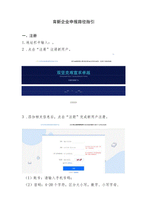 育新企业申报路径指引.docx