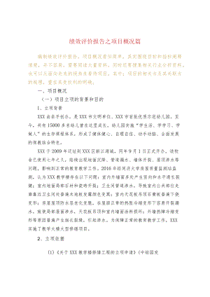 绩效评价报告之项目概况篇.docx
