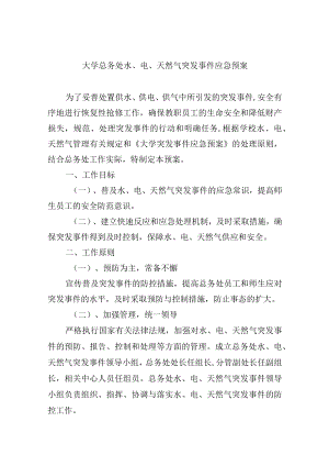 大学总务处水、电、天然气突发事件应急预案.docx