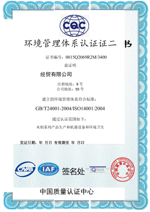 竖版蓝色边框公司环境管理体系认证证书单页word模板.docx