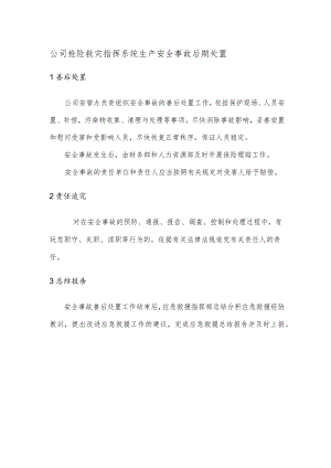 公司抢险救灾指挥系统生产安全事故后期处置.docx