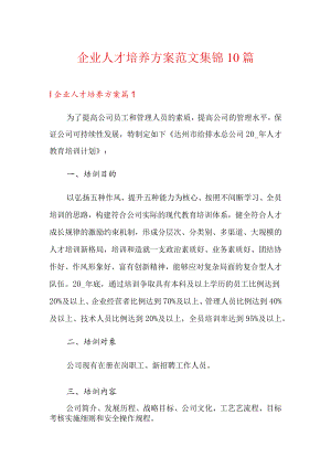 企业人才培养方案范文集锦10篇.docx