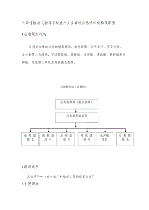 公司抢险救灾指挥系统生产安全事故应急组织机构及职责.docx