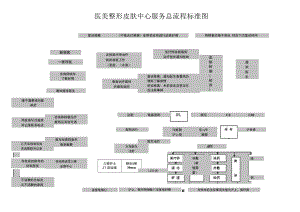 医美整形皮肤中心服务总流程标准图.docx
