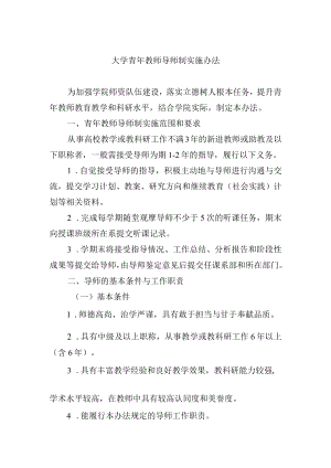 大学青年教师导师制实施办法.docx