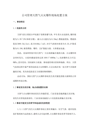 公司管理天然气火灾爆炸现场处置方案.docx