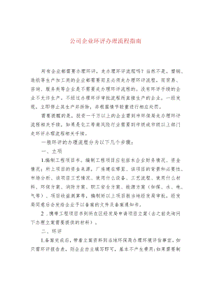 公司企业环评办理流程指南.docx