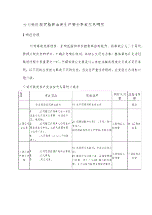 公司抢险救灾指挥系统生产安全事故应急响应.docx