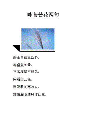 咏菅芒花两句.docx