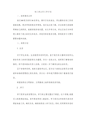 初三班主任工作计划.docx