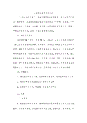 大班第二学期工作计划.docx