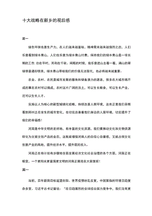 十大战略在新乡的观后感.docx