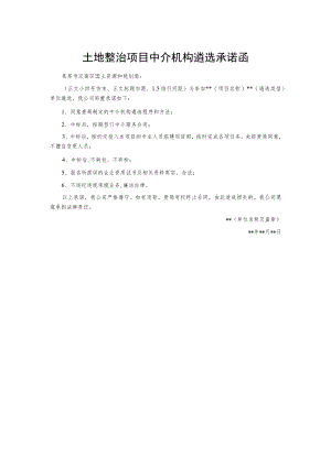 土地整治项目中介机构遴选承诺函.docx