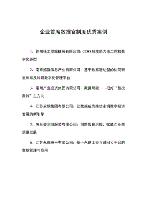 企业首席数据官制度优秀案例.docx