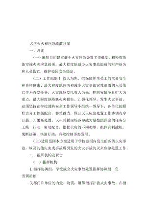 大学灭火和应急疏散预案.docx