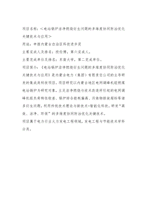 项目名称电站锅炉洁净燃烧衍生问题的多维度协同防治优化关键技术与应用.docx
