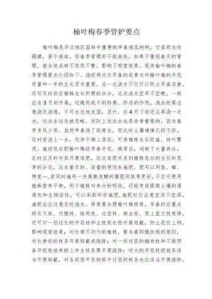 榆叶梅春季管护要点.docx