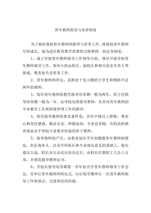 青年教师指导与培养制度.docx