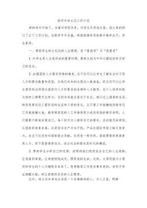 新学年班主任工作计划.docx