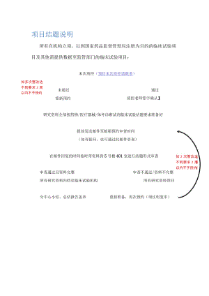 项目结题说明.docx