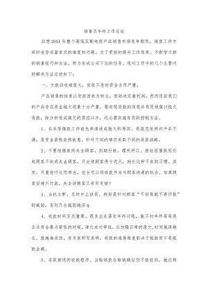 销售员年终工作总结.docx