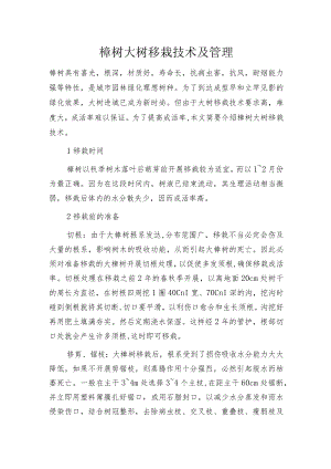 榉树大树移栽技术及管理.docx