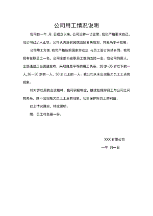 用工情况说明.docx