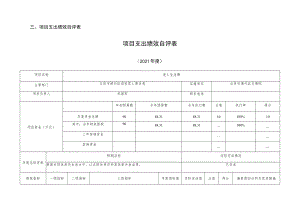 项目支出绩效自评表项目支出绩效自评表.docx