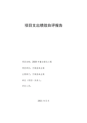 项目支出绩效自评报告.docx