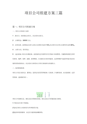 项目公司组建方案三篇.docx