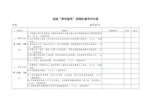 迎接“两项督导”双随机督导评分表.docx