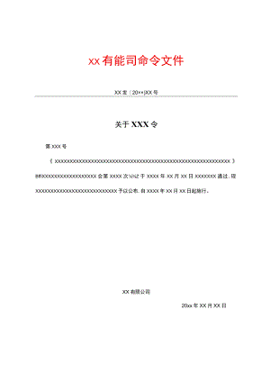 有限公司命令文件.docx