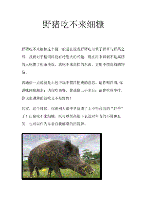 野猪吃不来细糠.docx