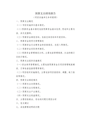 预算支出绩效报告.docx